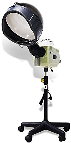 Hair Steamer, Professional Hair Conditioning Machine with Rolling Stand, Home Salon Spa Thermal Treatment, 600W