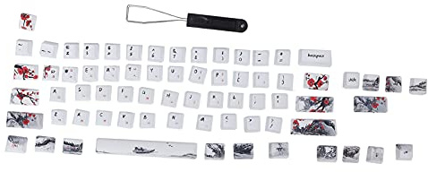 plplaaoo Tastenkappen PBT, 5-seitige Sublimation, 71 Tasten, Tastaturkappen, ultradick, langlebig, angenehme Haptik, für mechanische optische Tastaturen RK61 Gans Alt61 IKBC Poker Anne Pro