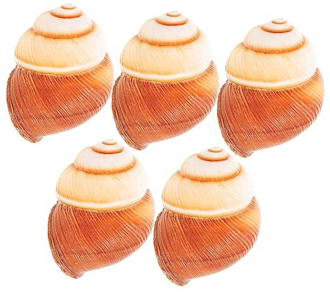 BELLIFFY 5 Pièces Coquille D'escargot Français Décor De Coquillages Océaniques Grandes Coquilles D'escargots Coquilles D'escargots Vides Coquilles De Crabe Coquille D'escargot Naturelle