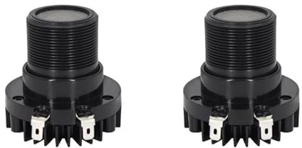 Agmoctz 2X Haut-Parleur Tweeter à Diaphragme 25 W, Haut-Parleur à Pavillon Dynamique pour Un Son Clair.