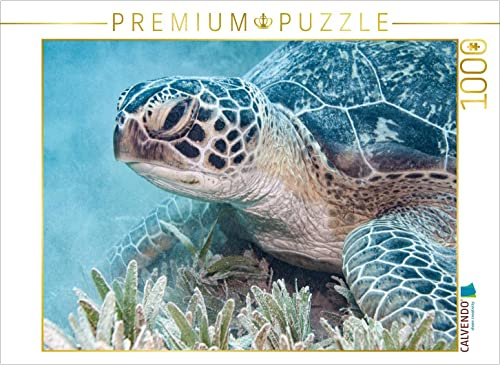 CALVENDO Puzzle Rotes Meer Ägypten | 1000 Teile Lege-Größe 64 x 48 cm Foto-Puzzle für glückliche Stunden