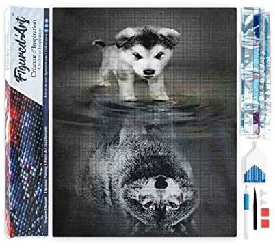 Figured'Art Diamond Painting Erwachsene 40x50cm Ganze Leinwand gerollt Hund und Wolf Spiegelung 5D Bilder Eckige Steine - DIY Set Basteln