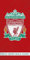 FC Liverpool Badetuch The Reds 70x140 cm in 100% Baumwolle Velours Anfield LFC Fussball Fan L.F.C. FA Cup Soccer Premier League Strandtuch Badelaken Saunatuch Strandlaken Duschtuch 001