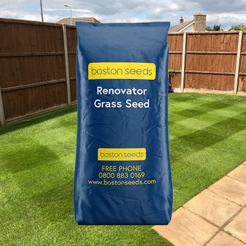 Boston Seeds Renovator Grass Seed - Lawn Repair Seeds with Rapid Germination. Hard Wearing Grass Repair Seed for Your Garden (1x 10 Kilogram).