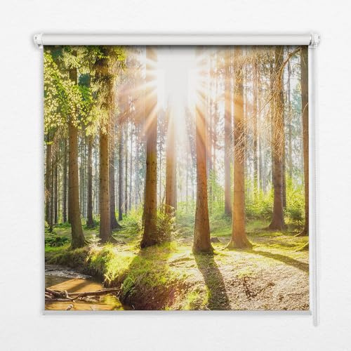 Tulup Verdunkelung Für Fenster 130x140cm Rollos - Die Sonne bricht durch die Bäume