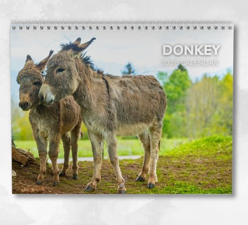 Eselkalender 2026 - Monatlicher Wandkalender mit Notizen, hängend im A4-Format, inklusive Schlüsseldaten & Feiertagen