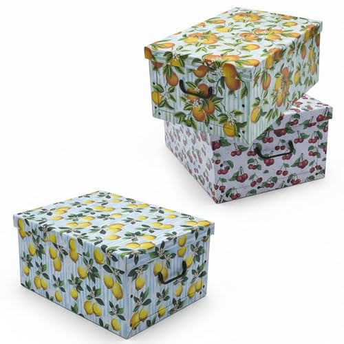 Spetebo 3er Set Aufbewahrungsbox mit Deckel Früchte 51 x 37 cm 45 Liter | Stapelbox aus Pappe, Mit Griffen, Organizer Storage Box, Allzweck Spielzeug Kiste, Stapelbar