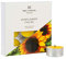 Wax Lyrical Raumduftstäbchen, Sonnenblume, Tealights