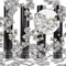 Konfettikanone, Taozoey Confetti Kanone *4, Party Popper, Konfetti-Shooter, Party Popper Konfetti, Konfettikanonen für Hochzeit, Party, Geburtstag, Silvester