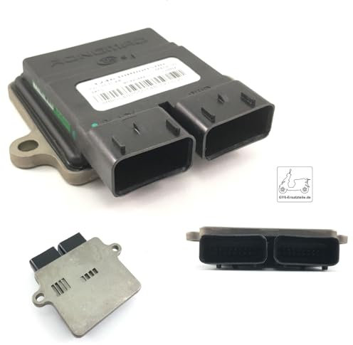 ECU RONGMAO offen STEUERGERÄT ECU CDI ungedrosselt für 50ccm 4T EURO4 + 5 EFI CHINA ROLLER - STEUER ZÜND EINHEIT