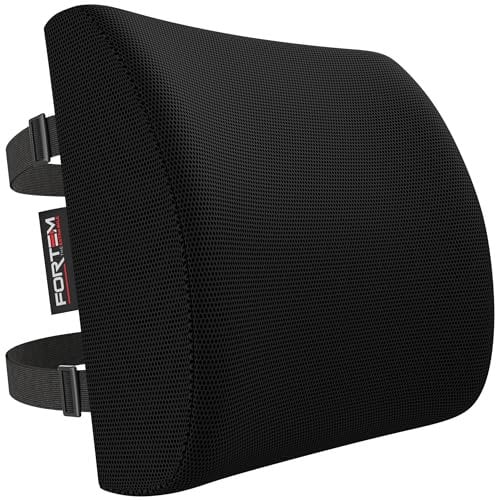FORTEM Cojín Lumbar Ergonómico para Silla de Oficina, Coche y Gaming, con Espuma Viscoelástica de Alta Densidad y Funda Lavable, Respaldo Ortopédico para Mayor Comodidad