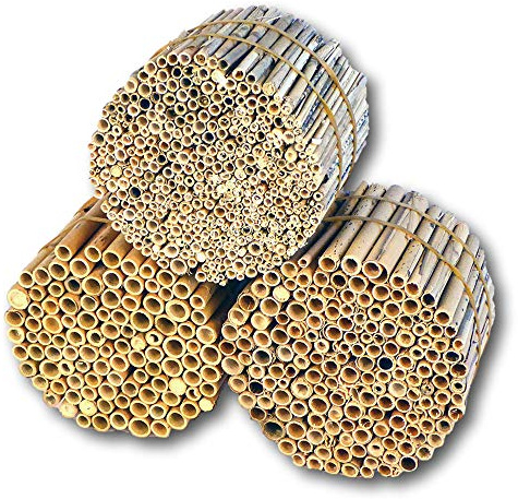 BeeCasa Schilfrohrhalme - Niströhren Mix | Nisthülsen 3er Kombi Set | 11 cm | Schilfhalme Füllmaterial für Insektenhotel & Bienenhotel | Nisthilfen für Wildbienen | Auch zum Basteln & Deko | Hiss Reet
