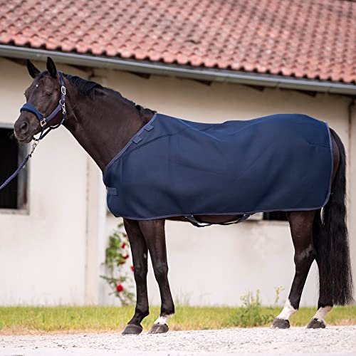 Busse