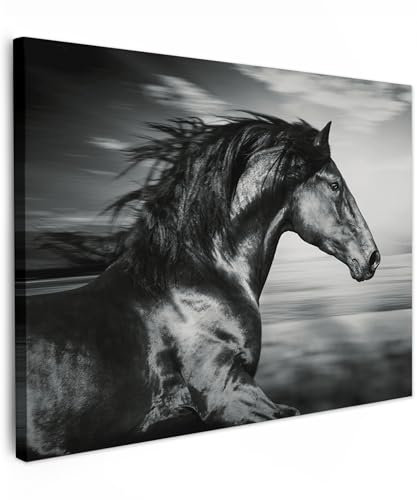 MuchoWow© Leinwandbild 70x50 cm Dekoration Wohnzimmer Bilder Aufhängen Wall Decoration Living Room Wohnungs Deko Moderne Schwarzweiss - Weiss - Pferd - Tiere - Bild Schwarz und Weiß