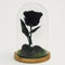 Mundo Eterno Garden Center Shop Rosa Preservada Negra en Cúpula de Cristal | Rosa Eterna Natural | Regalo Original | 22x12 cm