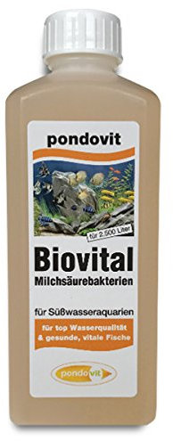 pondovit Milchsäurebakterien Biovital 250 ml, probiotische Bakterien, Wasserpflege