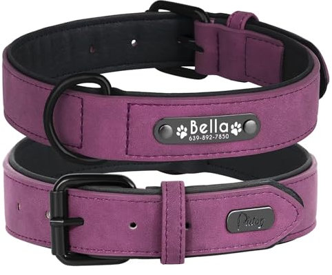 Didog Soft PU Leather Padded Custom Dog Collar with Personalized Nameplate and D Ring, Engraved Dog Collars for Small Medium Large Dogs,Purple,M