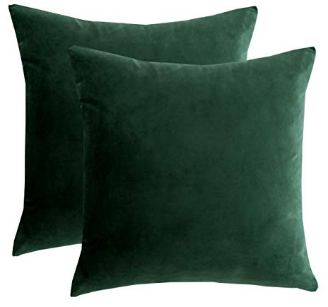 RainRoad Velvet Decorative Throw Pillow Covers Cushion Cover Pillow Case for Sofa Couch Bed Chair,Soft Square Dark Green Throw Pillows 18x18 Inch,Set of 2