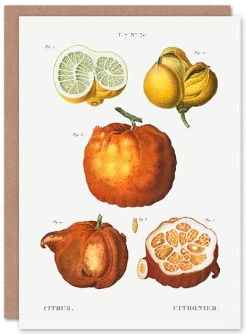 Artery8 Pierre-Joseph Redouté Art Card Citrus Fruit Vintage Illustration
