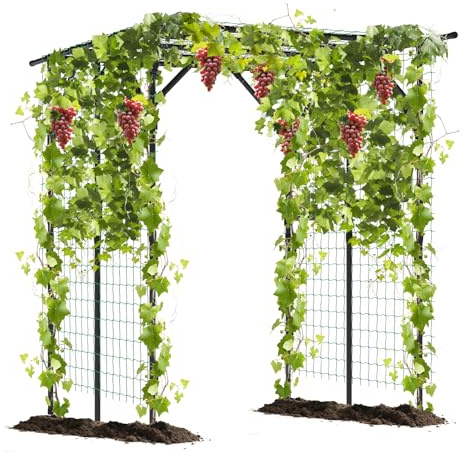 RELAX4LIFE Arche Jardin Métal 2M avec Treillis pour Plantes Grimpantes, Pergola Métal Plante Grimpante, Tube Revêtu de PE, Résistant aux Intempéries, Grand Arche pour Raisin Concombre Fleur