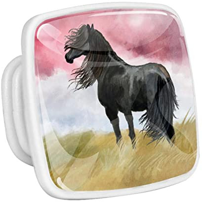 Fluoreszierend Schrankknöpfe Aquarell Tier Pferd Möbelknöpfe Quadrat Weiß Türknauf Für Kinderzimmer Dekoration Schrankgriffe Schubladengriffe (4Er-Pack) 3x2.1x2 cm