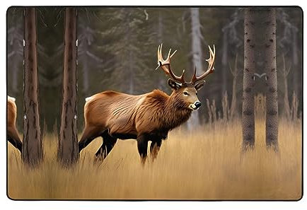 Wildlife Hirschbär Elch Bereich Teppiche 22,9 x 30,5 cm für Wohnzimmer – Haustürmatte Außeneingang und waschbarer Teppich für Schlafzimmer
