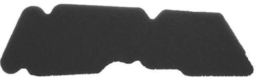 RIDE AND CUSTOM Filtro Area Compatibile con Piaggio Liberty Moc 2T & Elle 50 2009-2013