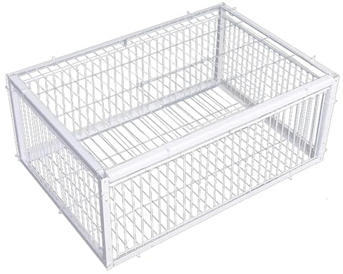 Trampa para Palomas, Trampa para pájaros con entradas de Acceso unidireccional y tragaluz, Jaula de Metal para Palomas de 16 x 12 x 10 Pulgadas para Granjas, graneros, Jardines, Jaula de cría de Palo