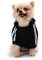 QiCheng&LYS Hunde Hoodie Schwarz,Kleine Hunde Strickpullover Wintermantel Für Kleine Hunde (Schwarz, XS)