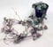 Ceropegia Woodii - String of Hearts - Trailing House Plant in 8 cm Pot