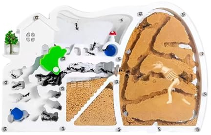 Ameisenfarm für Erwachsene Sandameisenfarm, Ameisenburg, Lebensraum Mit Dinosauriern Für Studium des Ökosystems Und Verhaltens Von Ameisenkolonien, Pädagogisch Wertvoll Ameisen Terrarium(Orange)