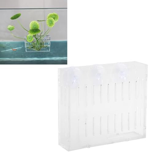 Cyrank Aquarium Pflanzschale, Acryl Aquarium Pflanzgefäße Fischtank Wasserpflanzen Pflanzgefäße Beckenschale mit Saugnäpfen Fischtank Pflanzgefäße für Landschaftspflanzen Kultivierung