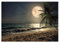 WallArena - Vlies Fototapete Strand Meer Palmen Karibik Ozean Wallen Mond 416x254 cm - Fototapeten - Tapeten - für Wohnzimmer Schlafzimmer - Vliestapete Wandtapete Tapete 3D Effekt- inkl. Kleister