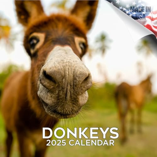 Kalender 2025 2026 Esel – niedlicher Monats-Wandkalender mit Bauernhoftieren, 16 Monate, 30,5 x 61 cm, Wildtier-Planer, dickes Papier, großes Raster, begabbarer Tierkalender für Lehrer, Zuhause, Büro