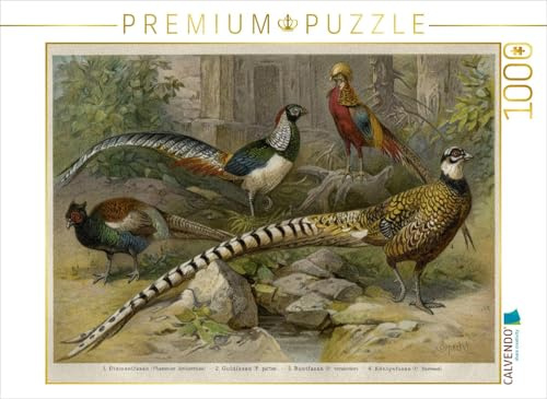 CALVENDO Puzzle Fasanen, Künstler: Friedrich Specht (1839-1909) | 1000 Teile Lege-Größe 64 x 48 cm Foto-Puzzle für glückliche Stunden