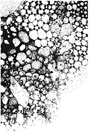 Bubbles with GRIDBLOCK Clear Stamp for Card Making, Scrapbooking and Mixed Media