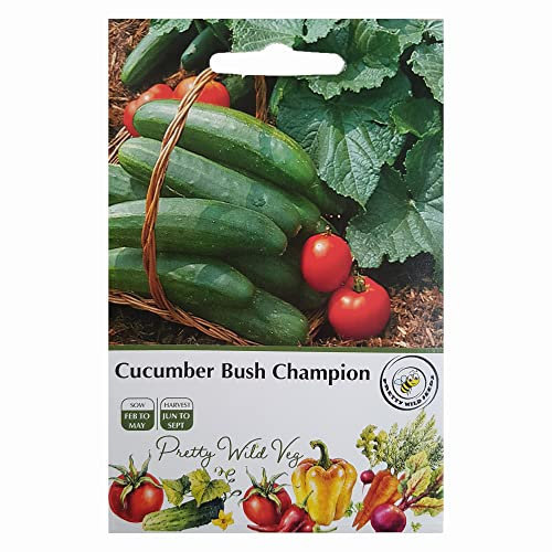 Cucumber Bush Champion F1 Seeds Vegetable Fruit Seeds Veg Seeds Cabbage Carrot Sweetcorn Tomato Strawberry (Cucumber Bush Champion F1)