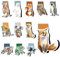 Magnetische Lesezeichen Kinder 12 Stück Tiere Lesezeichen Kleine Geschenke für Schüler, Junge, Mädchen, Buchliebhaber Magnetische Seiten Markierungen