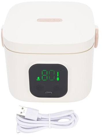 Pssopp Caja de Alimentos con Aislamiento de Calefacción Rápida USB, Prueba de Lonchera de Acero Inoxidable 304 Portátil 304 para Uso de Automóvil de Picnic de Oficina (30W 800 ml)