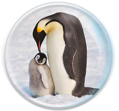 Deluxebase Magnidome - Pinguin Pinguin Kristallglas Kühlschrank Magnet für Kinder. Hervorragende gewölbte Magnete für Wohndekoration und Zubehör