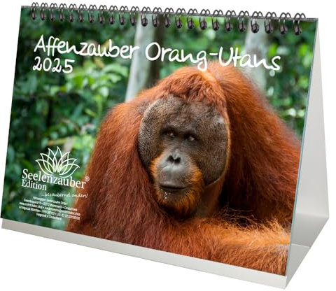 Affenzauber Orang-Utans DIN A5 Tischkalender für 2025 Affen - Seelenzauber