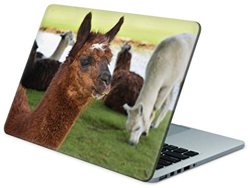 Skins4u Folie Sticker Skin Vinyl Aufkleber mit farbenfrohen Motiven für bis 17.3 Zoll 42x30cm Laptop Skin Decal Cover Lamas