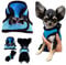 XXXS XXS XS Tiny Toy Teacup Chihuahua Puppy Dog Harness with Mesh Clip for TINY Teacup Miniature Breeds Kitten Yorkie Maltese Terrior Puppy Dogs (XXS - Chest 26-30cm, Blue/Black)