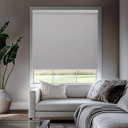CHICOLOGY Cordless Cellular Shades Privacy Single Cell Window Blind, 27W X 48H, Evening Mist