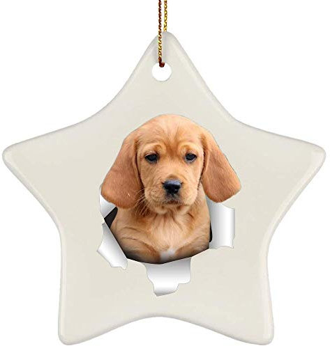 Christbaumschmuck Mit Hanfseil Weihnachtsbaum Deko Keramik Weihnachtsdeko Lustiges Gold, Das Aus Einer Rissigen Wand Kommt