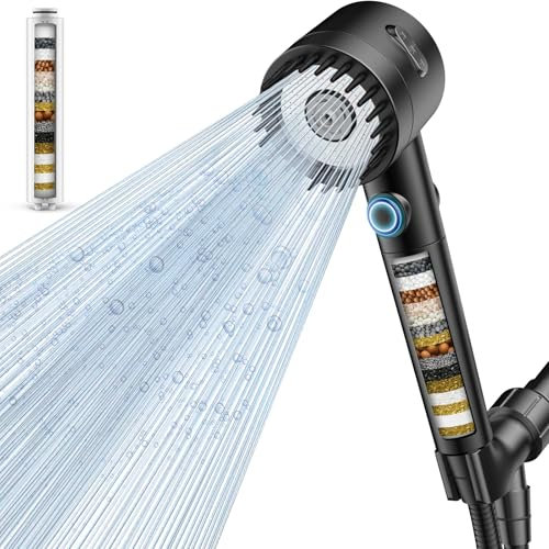 Filtered Shower Head with Handheld Shower Head