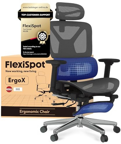 FLEXISPOT ErgoX Ergonomic Office Chair with Footrest, Desk Chair with 3D Armrests, 3D Headrest, 5D Adjustable Backrest, Breathable Seat, Maximum Load 136 kg, Work Chair, Grey