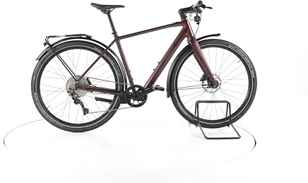 Winora E Bike E-Flitzer Trekking E-Bike Herren 27,5 Zoll Elektrofahrrad, MAHLE 40 Nm 250 Wh, 10 Gänge, Hydraulische Scheibenbremse 166-174 cm rot (Generalüberholt)