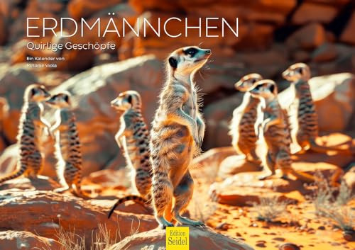 Edition Seidel Premium Kalender Erdmännchen 2026 Format DIN A3 Wandkalender Tierkalender Afrika Zoo Natur Rudel Säugetier Wildtier Tier Melanie Viola