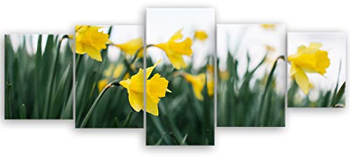 ge Bildet Bild auf Leinwand | Alpenveilchen - Narzisse in 200x80 cm mehrteilig als Wandbild XXL | Wand-deko Dekoration Wohnung modern Bilder | 2280-B